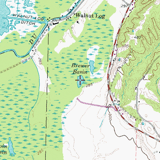 Topographic Map of Brewer Basin, TN