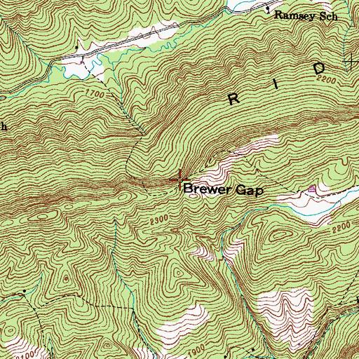 Topographic Map of Brewer Gap, TN