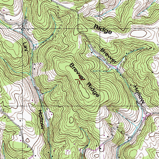 Topographic Map of Brewer Ridge, TN