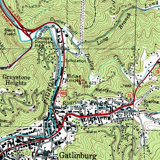Topographic Map of Briar Knob, TN
