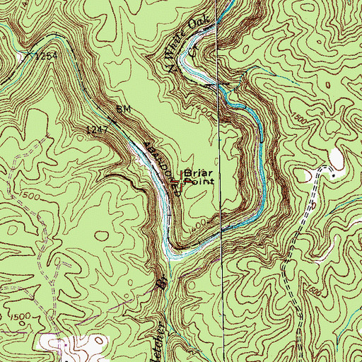 Topographic Map of Briar Point, TN