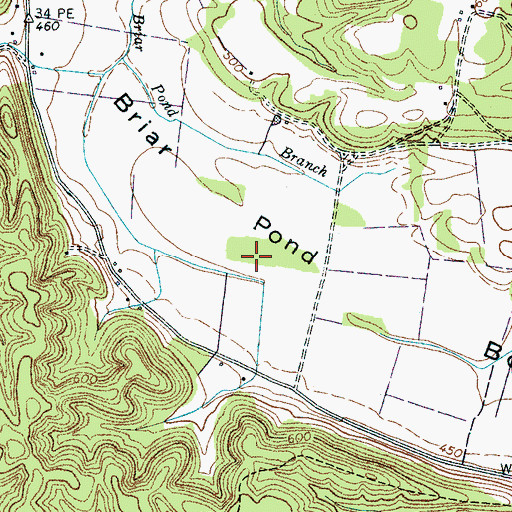 Topographic Map of Briar Pond Bottom, TN