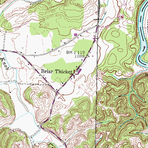 Topographic Map of Briar Thicket, TN