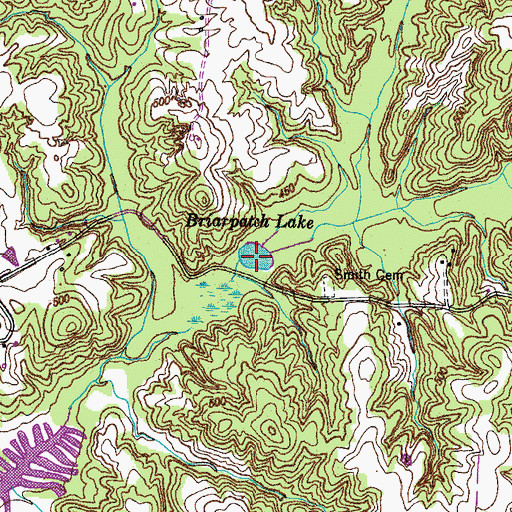 Topographic Map of Briarpatch Lake, TN