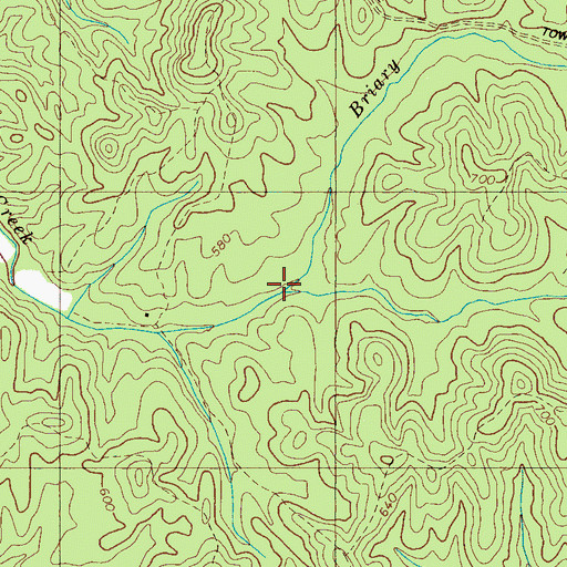 Topographic Map of Briary Branch, TN