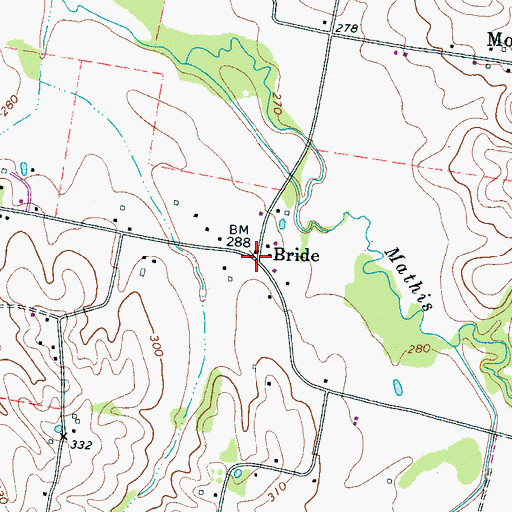 Topographic Map of Bride, TN