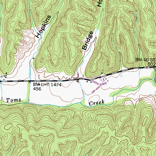 Topographic Map of Bridge Hollow, TN