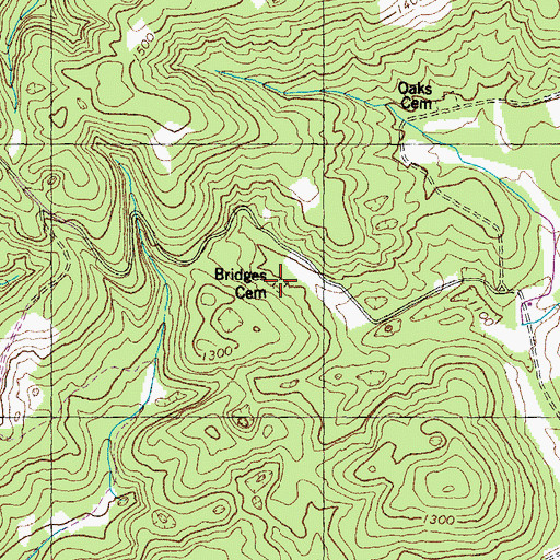 Topographic Map of Bridges Cemetery, TN