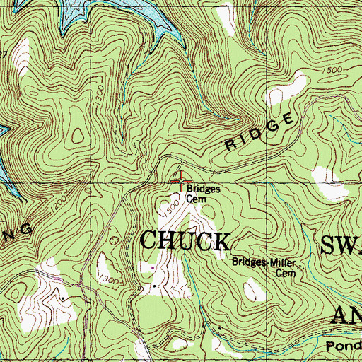 Topographic Map of Bridges Cemetery, TN
