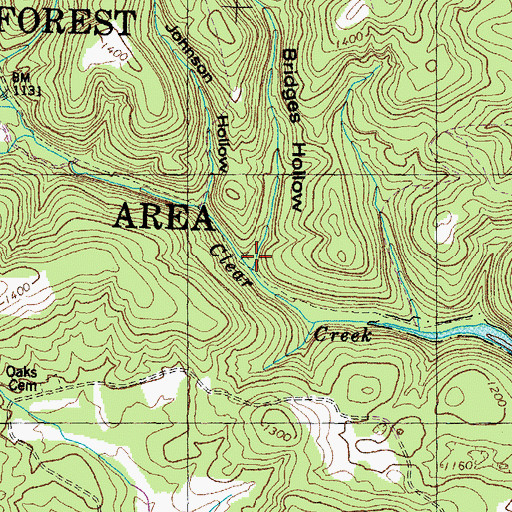 Topographic Map of Bridges Hollow, TN