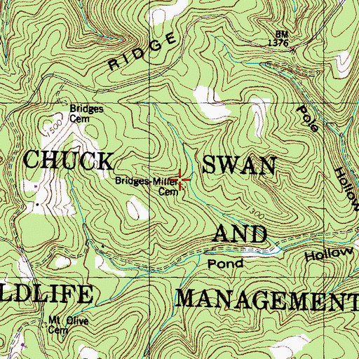 Topographic Map of Bridges- Miller Cemetery, TN