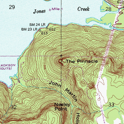 Topographic Map of The Pinnacle, AL