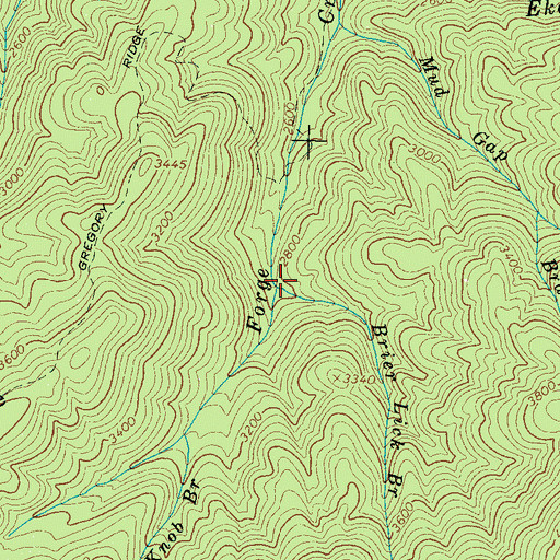 Topographic Map of Brier Lick Branch, TN