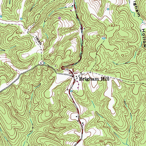 Topographic Map of Brigham Hill, TN