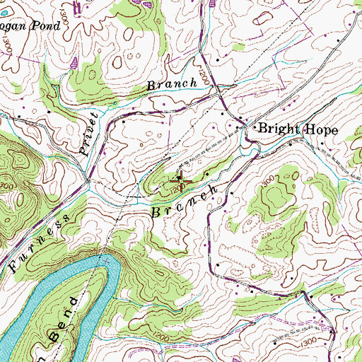 Topographic Map of Bright Hope School, TN