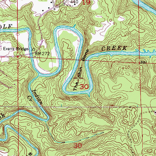Topographic Map of The Shin Bone, AL