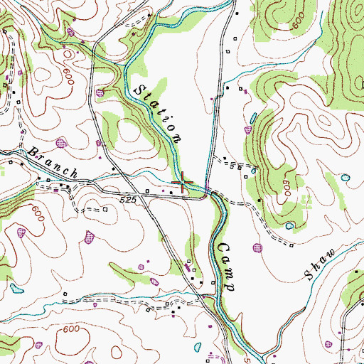 Topographic Map of Brinkley Branch, TN