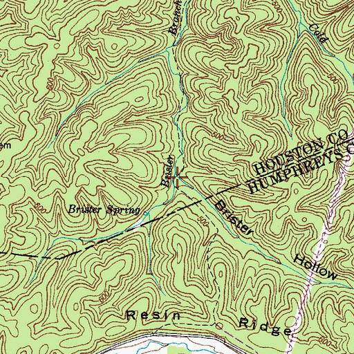 Topographic Map of Brister Hollow, TN
