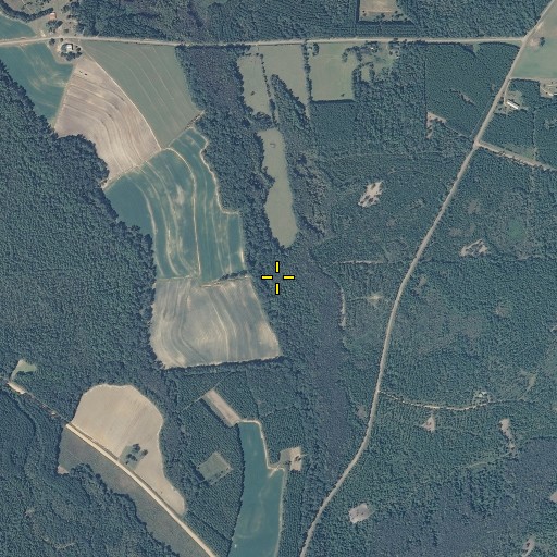 Aerial/Satellite Image of The Turnpike Swamp, AL