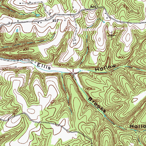 Topographic Map of Brooks Hollow, TN