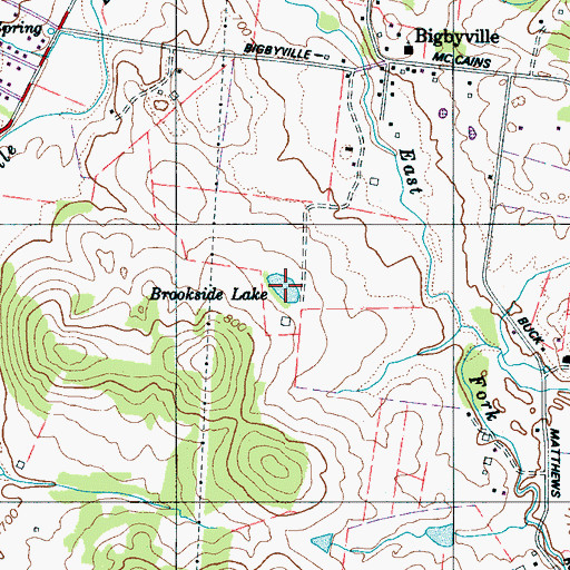Topographic Map of Brookside Lake, TN