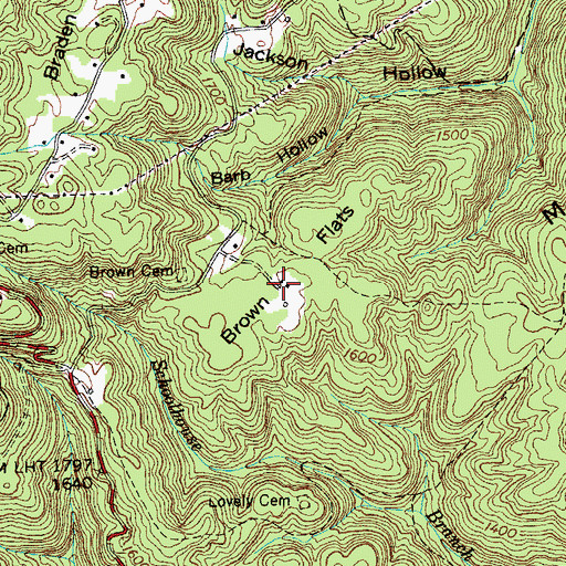 Topographic Map of Brown Flats, TN