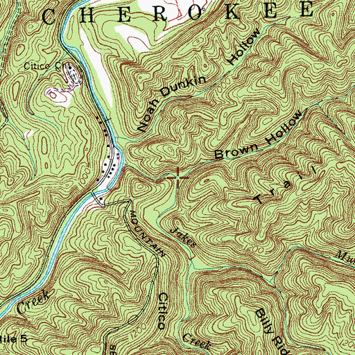 Topographic Map of Brown Hollow, TN