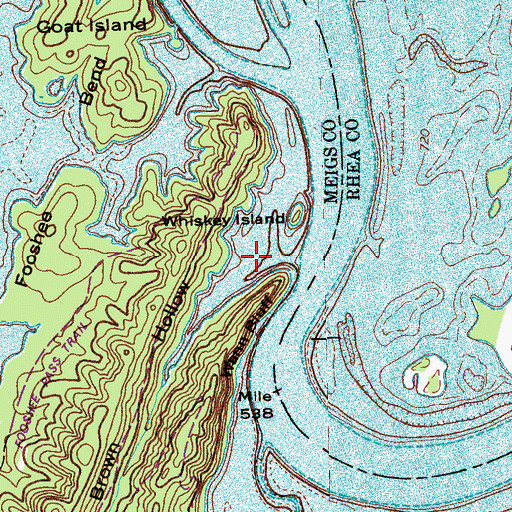 Topographic Map of Brown Hollow, TN