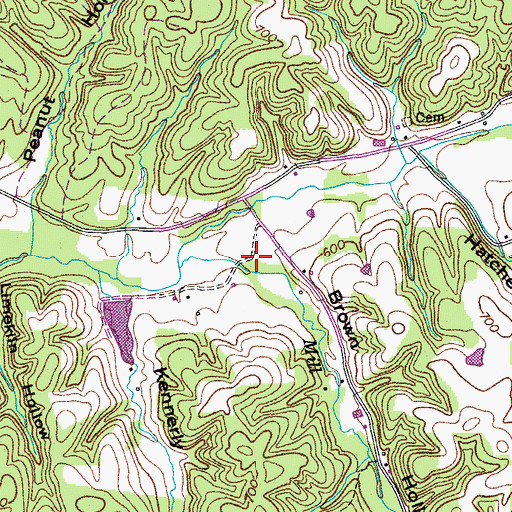 Topographic Map of Brown Hollow, TN