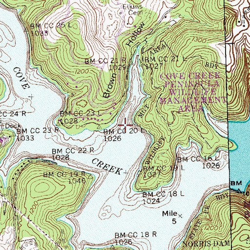 Topographic Map of Brown Hollow, TN