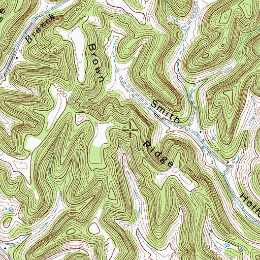 Topographic Map of Brown Ridge, TN