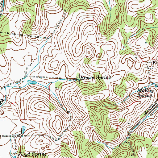 Topographic Map of Brown Spring, TN
