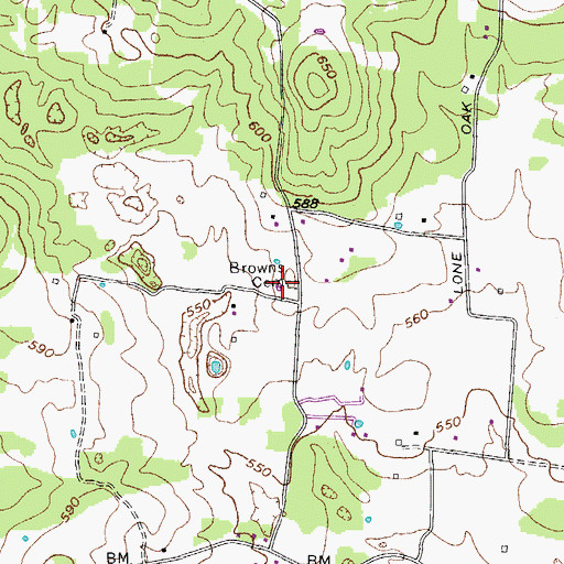 Topographic Map of Browns Cemetery, TN