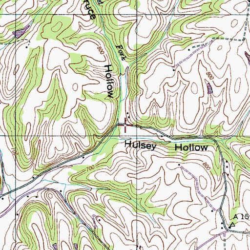 Topographic Map of Bruce Hollow, TN