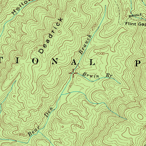 Topographic Map of Bruin Branch, TN