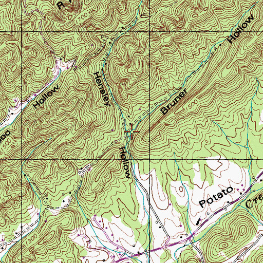 Topographic Map of Bruner Hollow, TN