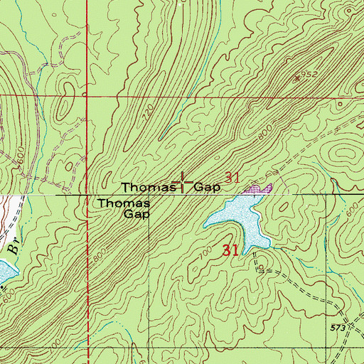 Topographic Map of Thomas Gap, AL