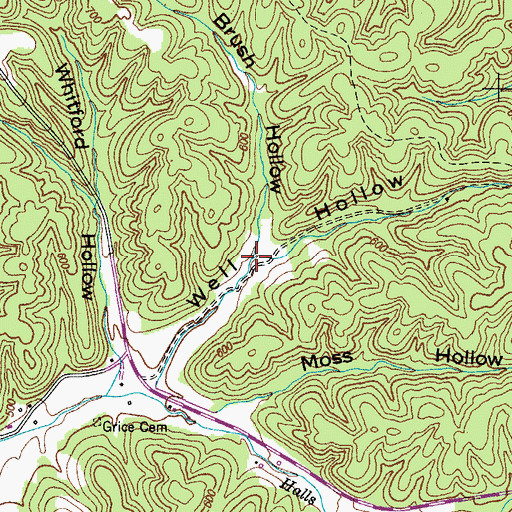 Topographic Map of Brush Hollow, TN