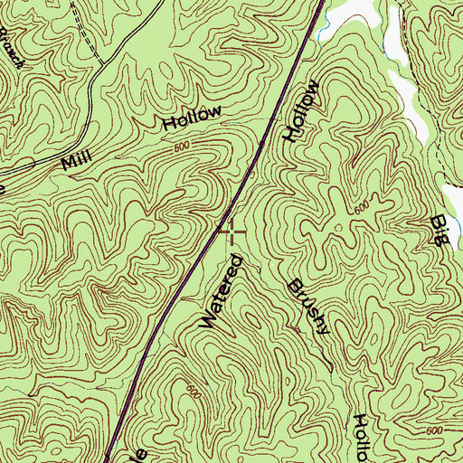 Topographic Map of Brushy Hollow, TN