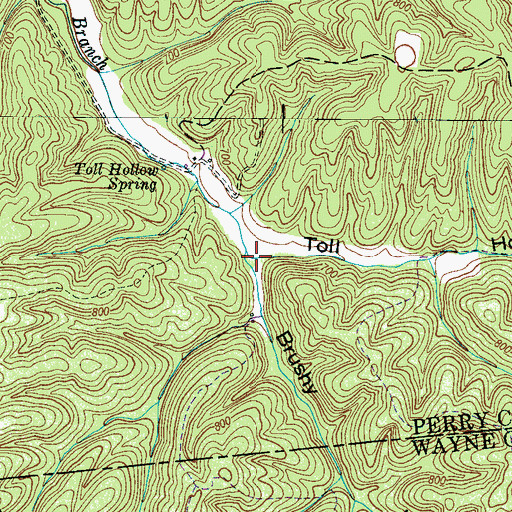 Topographic Map of Brushy Hollow, TN