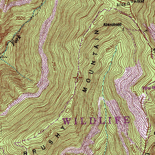 Topographic Map of Brushy Mountain, TN