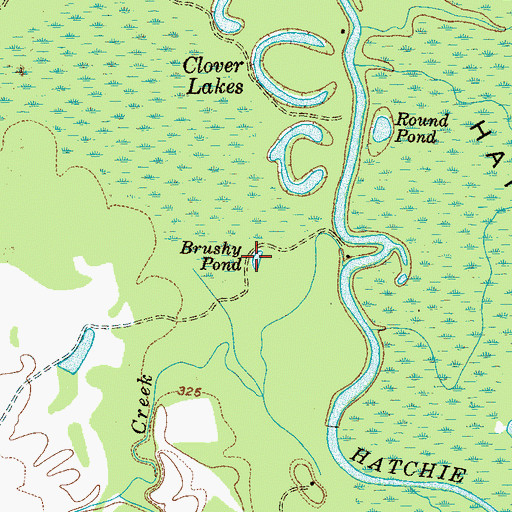 Topographic Map of Brushy Pond, TN