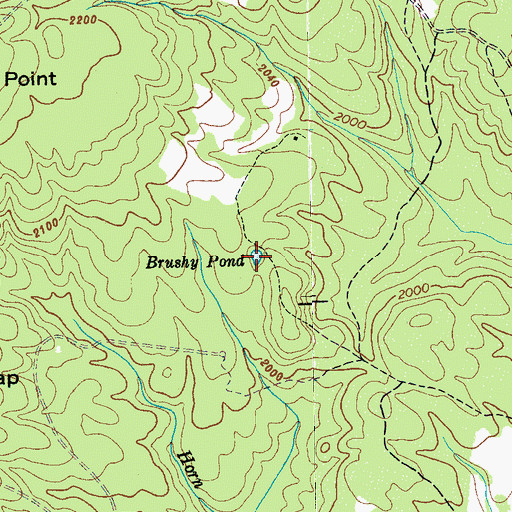Topographic Map of Brushy Pond, TN