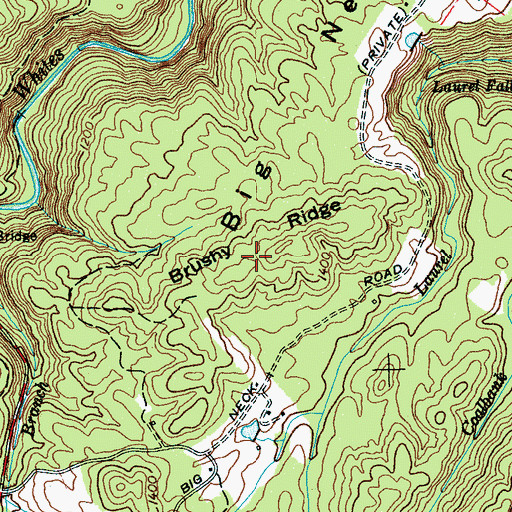 Topographic Map of Brushy Ridge, TN