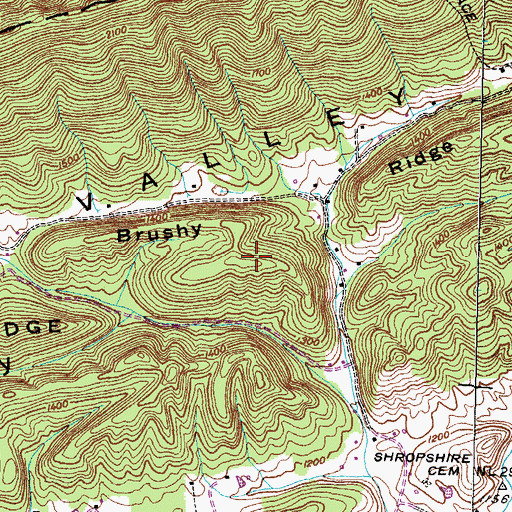 Topographic Map of Brushy Ridge, TN