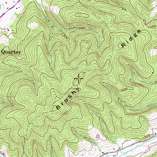 Topographic Map of Brushy Ridge, TN