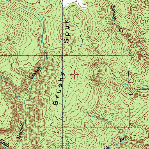 Topographic Map of Brushy Spur, TN
