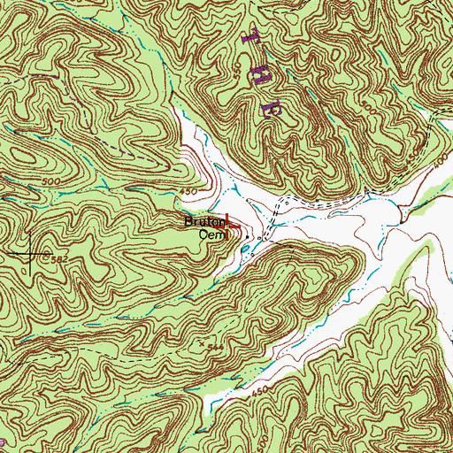 Topographic Map of Bruton Cemetery, TN