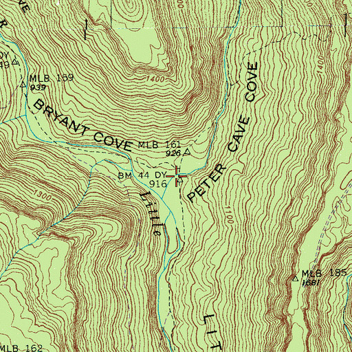 Topographic Map of Bryant Cove, TN