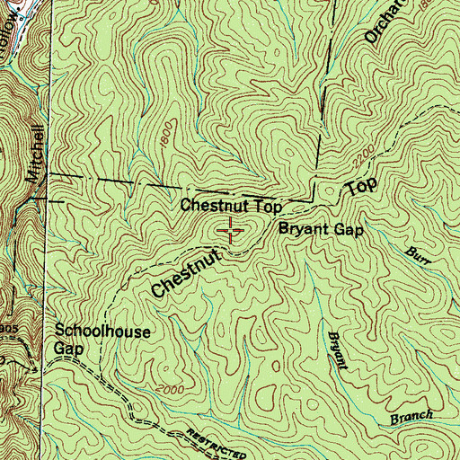 Topographic Map of Bryant Gap, TN